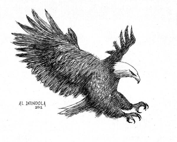 Eagle Poster featuring the drawing Pen and Ink Bald Eagle by Al Intindola