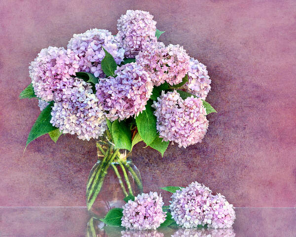 Hydrangea Poster featuring the photograph Pink Hydrangeas by Nikolyn McDonald