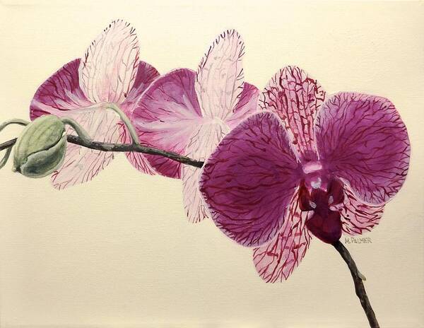 Orchid Poster featuring the painting Pink Orchid by Mary Palmer