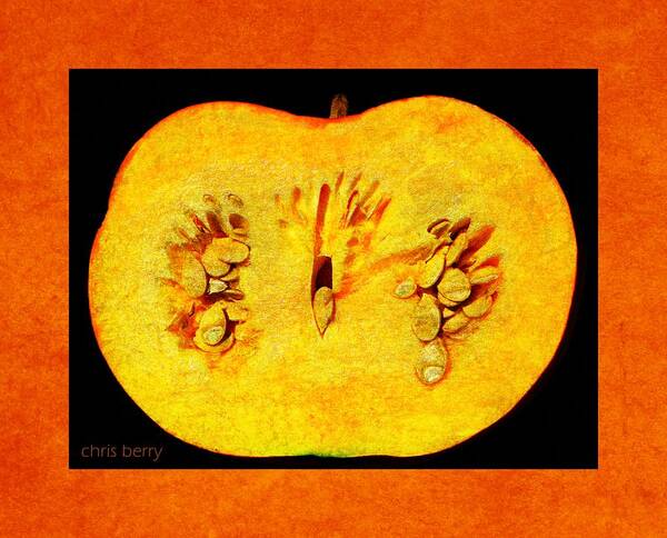 Halloween Poster featuring the photograph Pumpkin Half by Chris Berry