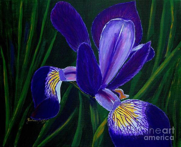 Barbara Griffin Poster featuring the painting Purple Iris by Barbara A Griffin