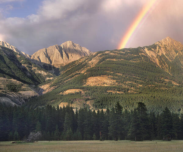 Feb0514 Poster featuring the photograph Rainbow Over Colin Range Jasper Np by Tim Fitzharris