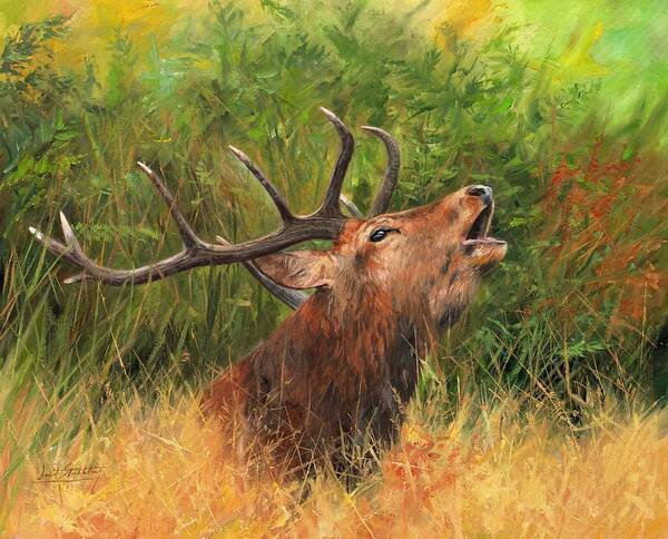 Stag Poster featuring the painting Red Stag by David Stribbling