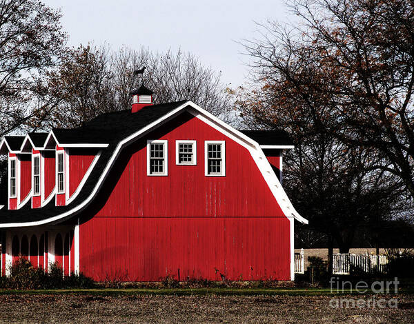 Barn Poster featuring the photograph Repainted by Tina M Wenger