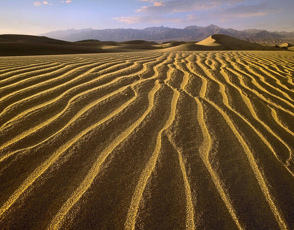 Feb0514 Poster featuring the photograph Sand Dunes Death Valley California by Tim Fitzharris