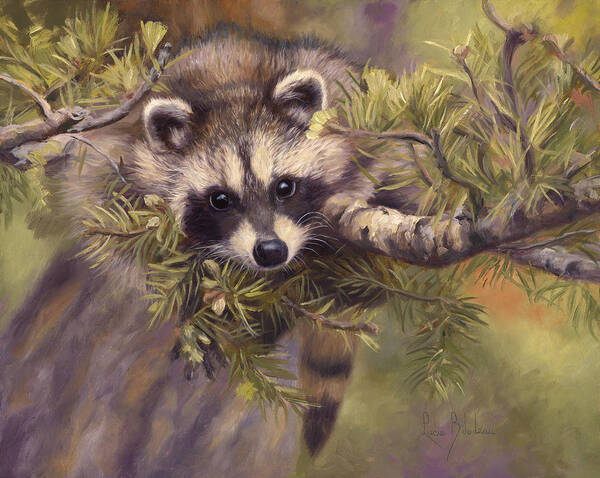 Raccoon Poster featuring the painting Seeking Mischief by Lucie Bilodeau