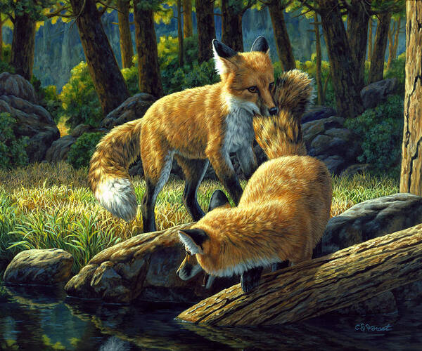 Fox Poster featuring the painting Red Foxes - Sibling Rivalry by Crista Forest