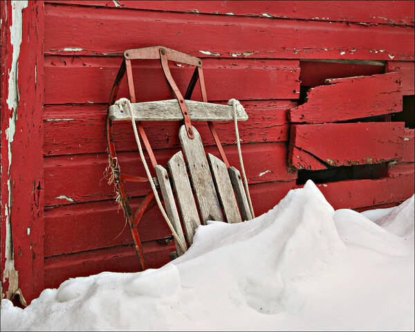 Sled Poster featuring the photograph Sled on Red by Nikolyn McDonald