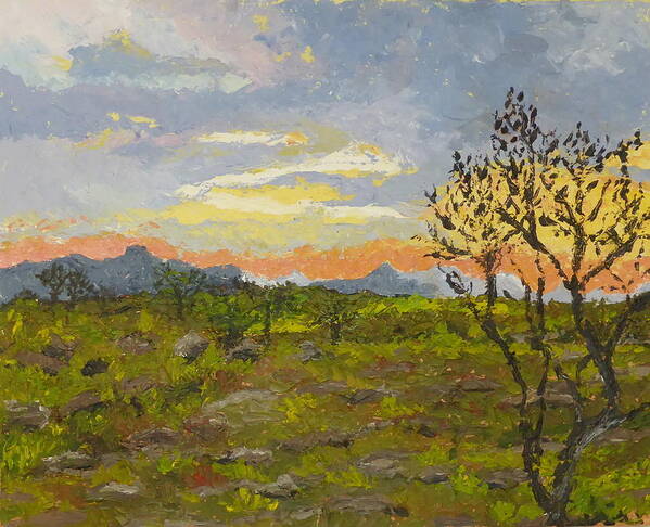 Landscape Poster featuring the painting South African Sunset by Diane Arlitt