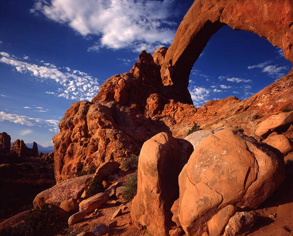 National Park Poster featuring the photograph South Window by Ray Mathis