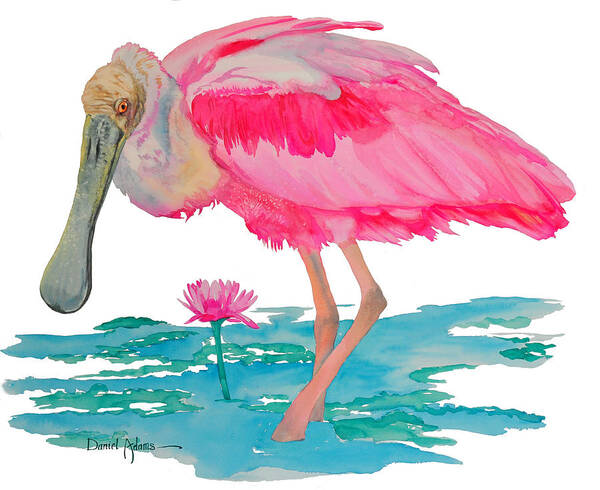 Roseate Poster featuring the painting Spoonbill Wading by Daniel Adams