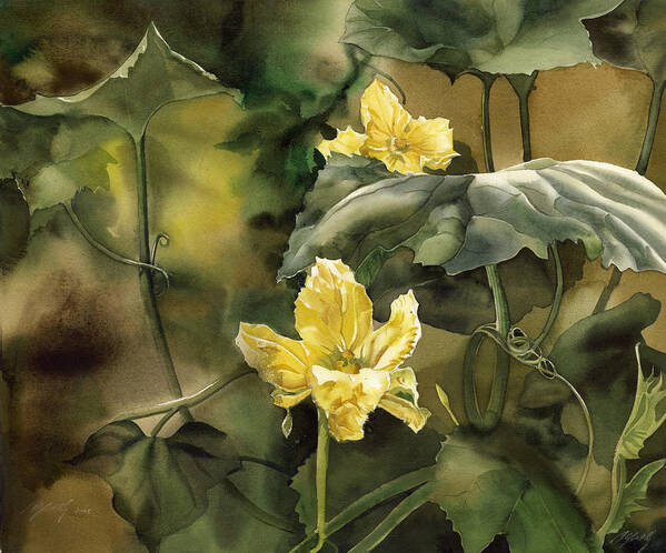 Watercolor Poster featuring the painting Squash Blossoms by Alfred Ng