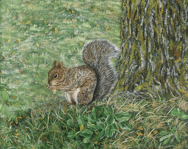 Squirrel Poster featuring the painting Squirrel by Lucinda VanVleck