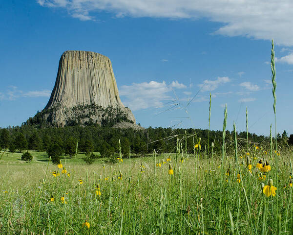 Dakota Poster featuring the photograph Summer Day at Devils Tower by Greni Graph