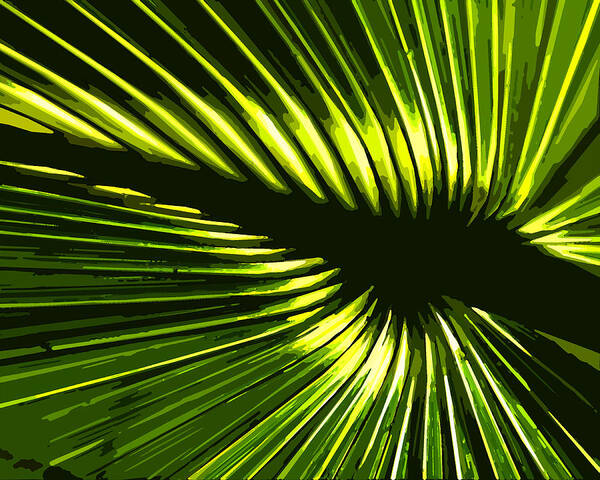 Palm Frond Poster featuring the digital art Sun Through the Palms by Norman Johnson