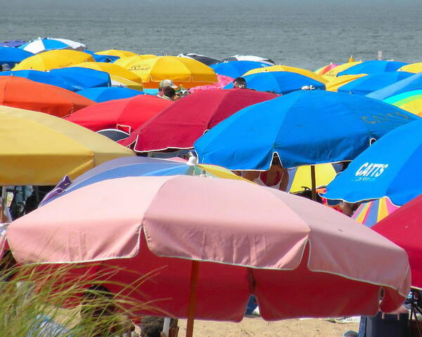 Beach Poster featuring the photograph Sunbrellas by Kim Bemis