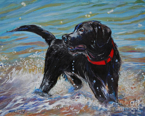 Black Labrador Retriever Puppy Poster featuring the painting Surf Pup by Molly Poole
