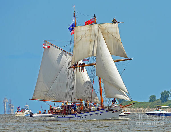 Ship Poster featuring the photograph Tall Ship Pathfinder by Rodney Campbell