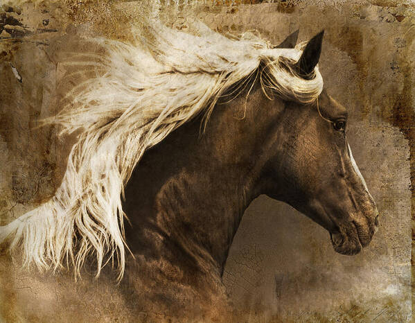 Horse Poster featuring the photograph Taos by Priscilla Burgers