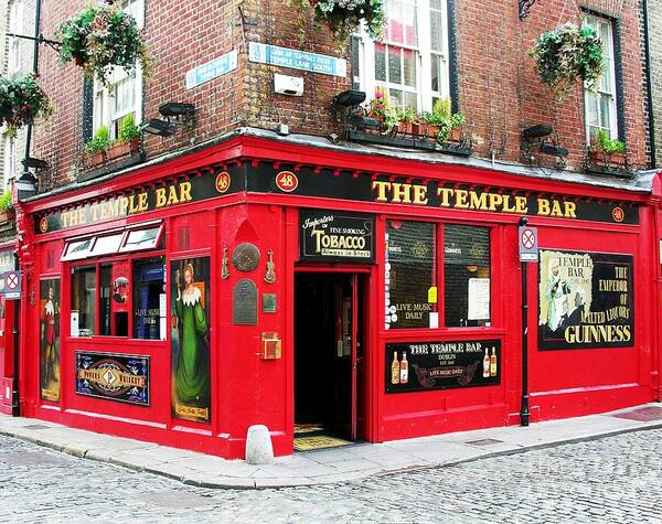 Irish Pubs Poster featuring the photograph Temple Bar by Mel Steinhauer