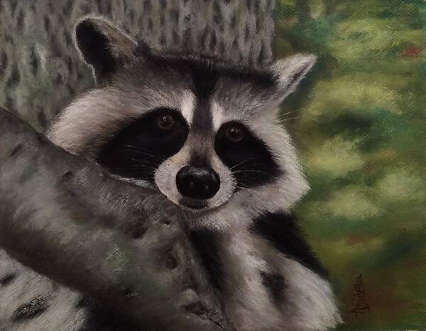 Raccoons Poster featuring the painting Tennessee Wildlife - Raccoon by Annamarie Sidella-Felts