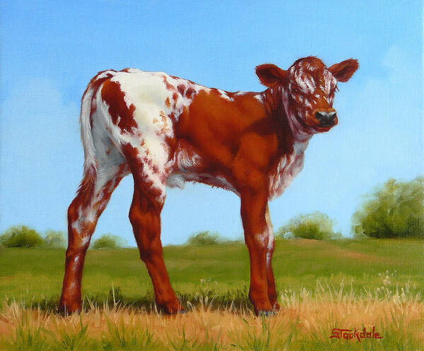 Cow Poster featuring the painting Texas Longhorn New Calf by Margaret Stockdale
