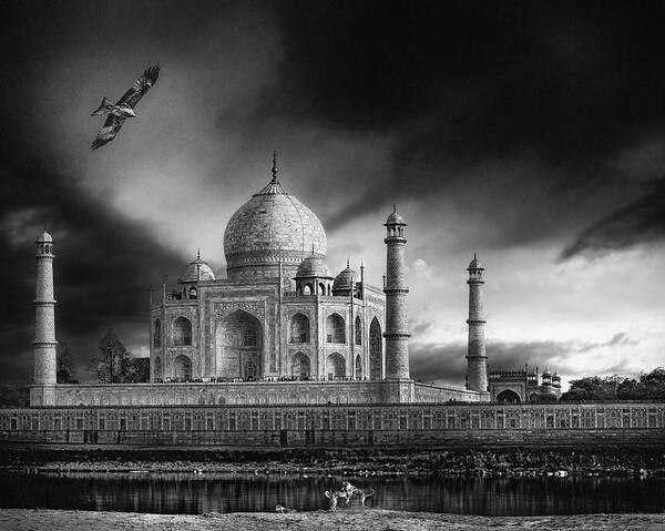 Taj Poster featuring the photograph The Banks Of The Jamuna River by Piet Flour