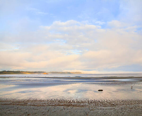 Beach Poster featuring the photograph The Beach At Tofino by Theresa Tahara