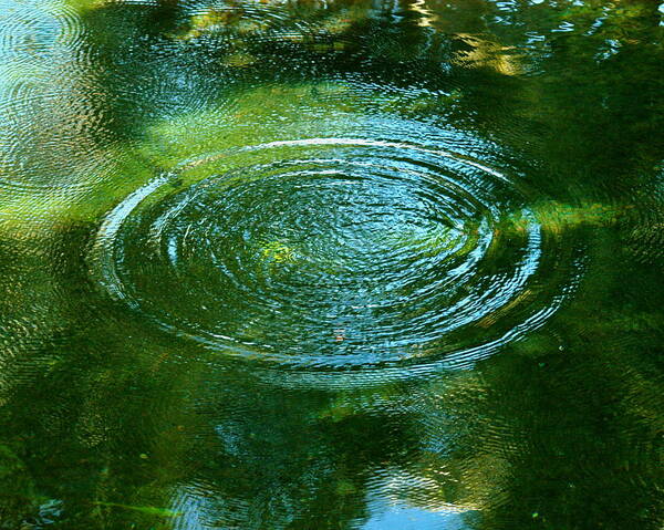 Pond Poster featuring the photograph The Fish Pond by Lehua Pekelo-Stearns