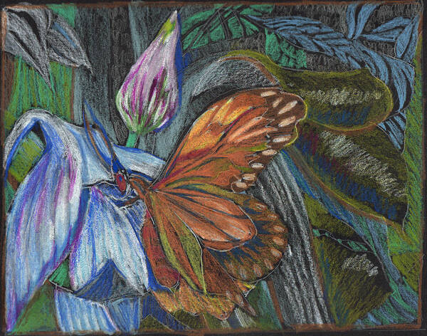 Butterfly Poster featuring the drawing The Visitor by Mindy Newman