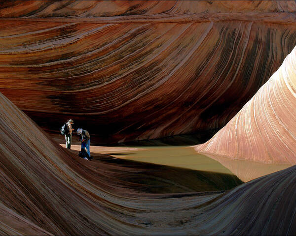 Landscape Poster featuring the photograph 'The Wave' North Coyote Buttes 44 by JustJeffAz Photography