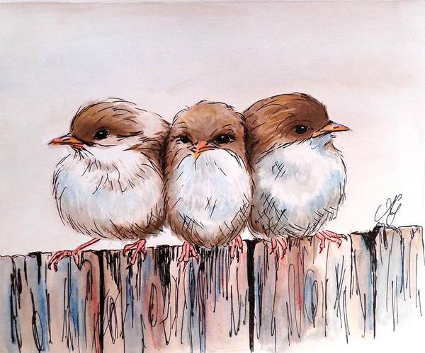 Watercolour Poster featuring the painting Three baby Fairy Wrens by Anne Gardner