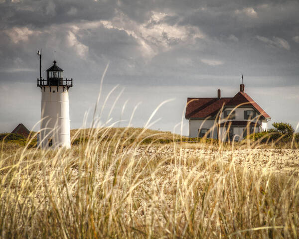 Race Point Light Poster featuring the photograph Race Point Light Through the Grass by Brian Caldwell
