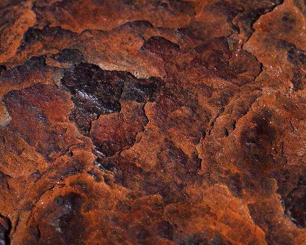 Rust Poster featuring the photograph Topography of Rust by Rona Black