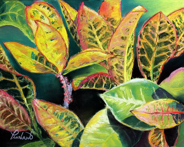 Croton Poster featuring the painting Tropical Colorful Croton Leaves by Prashant Shah
