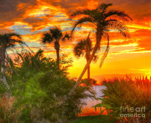 Palm Trees Poster featuring the photograph Tropical Sunset by Debbi Granruth