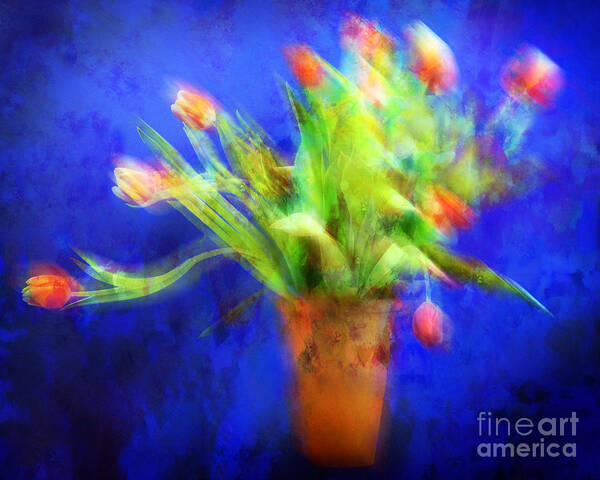 Abstract Poster featuring the photograph Tulips in the Blue by Edmund Nagele FRPS