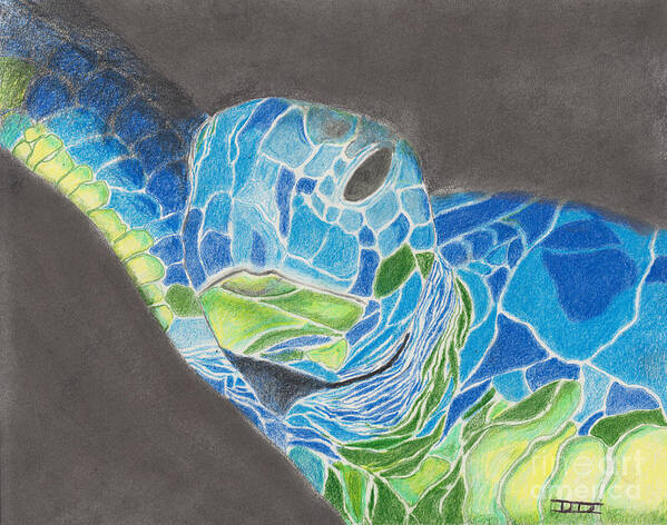 Sea Turtle Poster featuring the drawing Turtle in Blue and Green by David Jackson