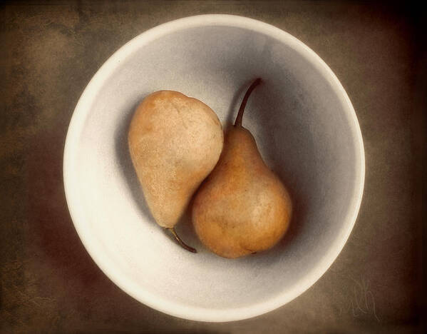 Pear Poster featuring the photograph Two Bosc Pears Still Life in Warm Tones by Louise Kumpf