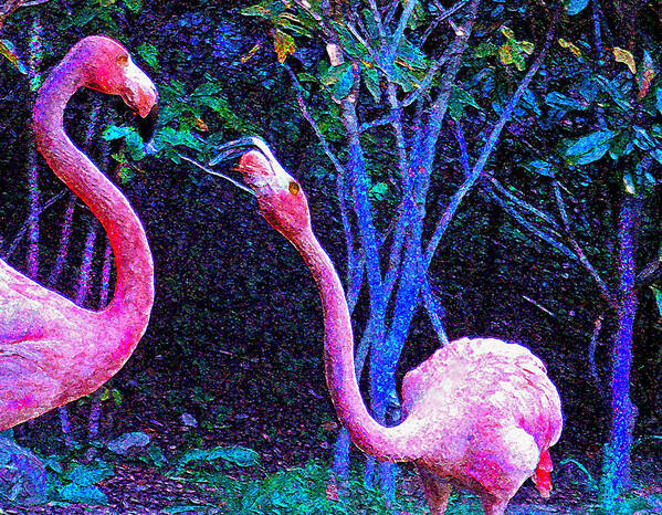 Flamingo Poster featuring the digital art Two Flamingos by Jane Schnetlage