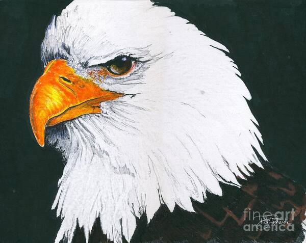 Bald Poster featuring the drawing US Bald Eagle by Bill Richards