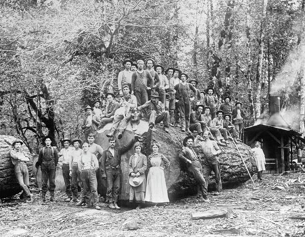 Human Poster featuring the photograph Us Rural Settlement by Library Of Congress