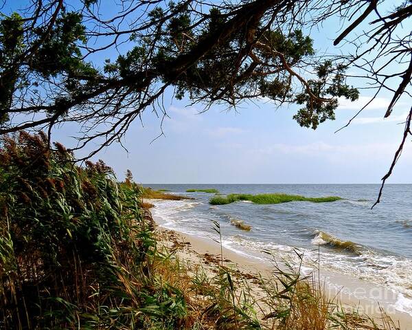 East Point Poster featuring the photograph View at East Point by Nancy Patterson