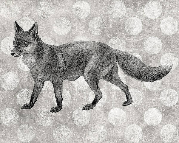 Fox Poster featuring the digital art Gray Fox by Flo Karp