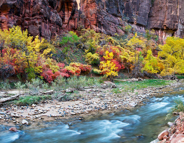 Photography Poster featuring the photograph Virgin River And Rock Face At Big Bend by Panoramic Images