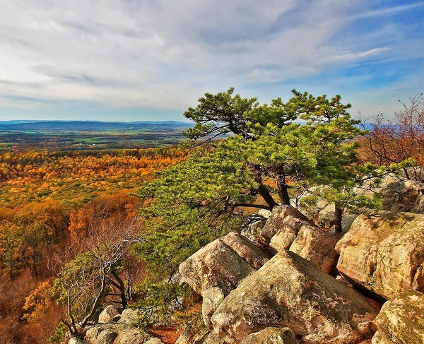 Sugarloaf Mountain Poster featuring the photograph Vista from Sugarloaf Mountain by SCB Captures