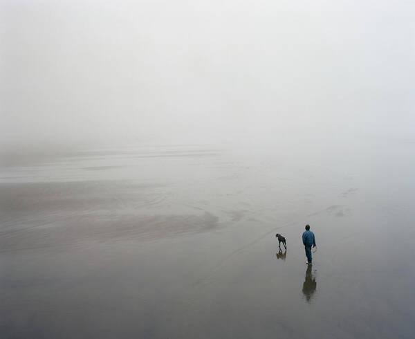 Pets Poster featuring the photograph Walking On A Foggy Beach by Zeb Andrews