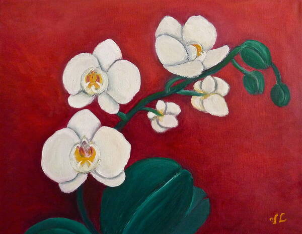 Orchids Poster featuring the painting White Orchids by Victoria Lakes