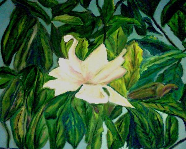 Flower Poster featuring the painting Williamsburg Magnolia by Suzanne Berthier