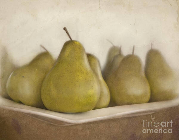 Pears Poster featuring the photograph Winter pears by Cindy Garber Iverson